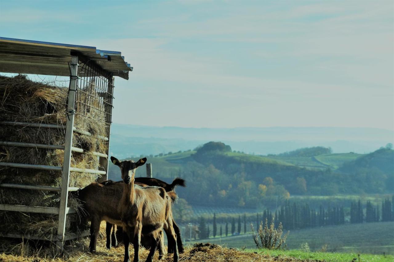 Agriturismo Fattoria Le Caprine Gambassi Terme Extérieur photo