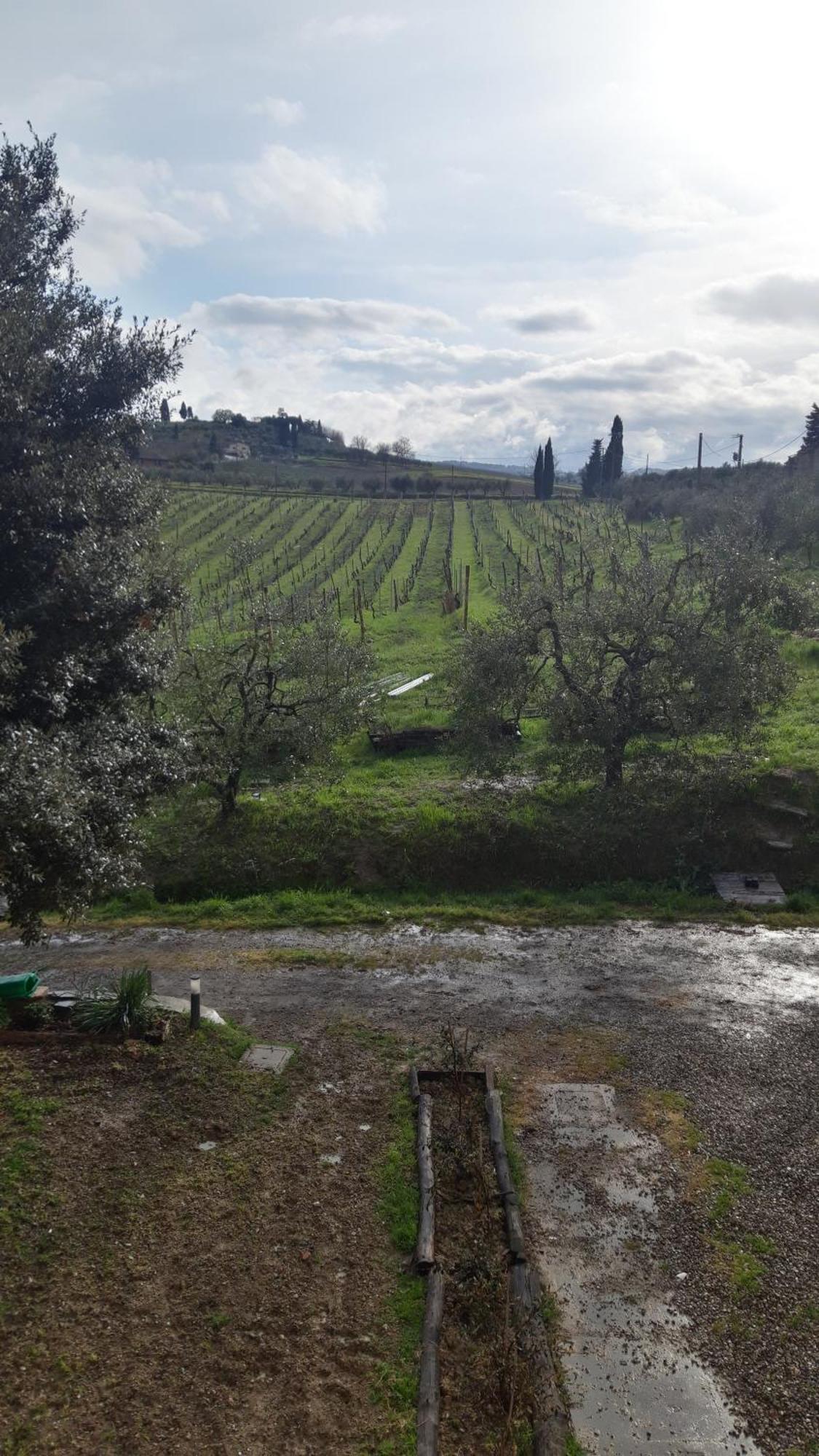 Agriturismo Fattoria Le Caprine Gambassi Terme Extérieur photo